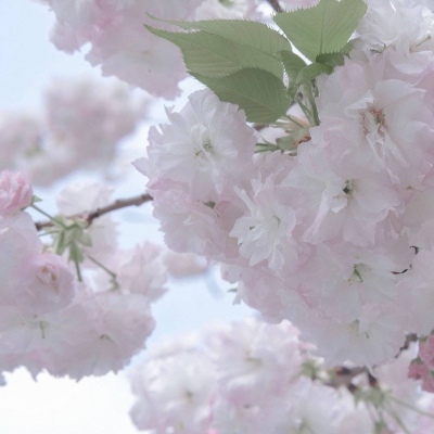 井陉矿FurryQQ群介绍